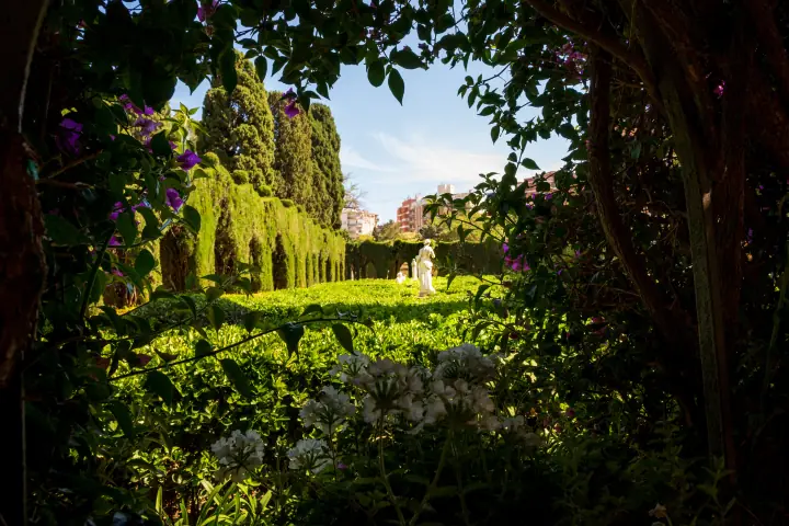 garden-serenity preview